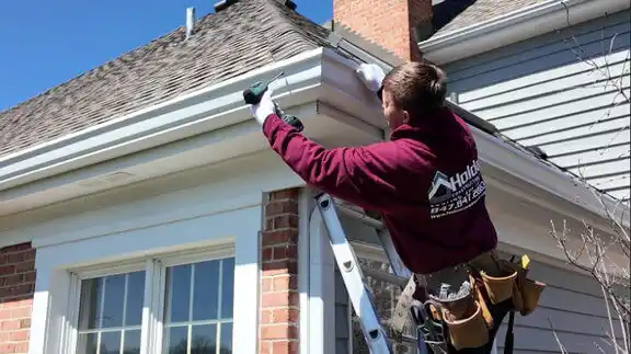 gutter services DeWitt